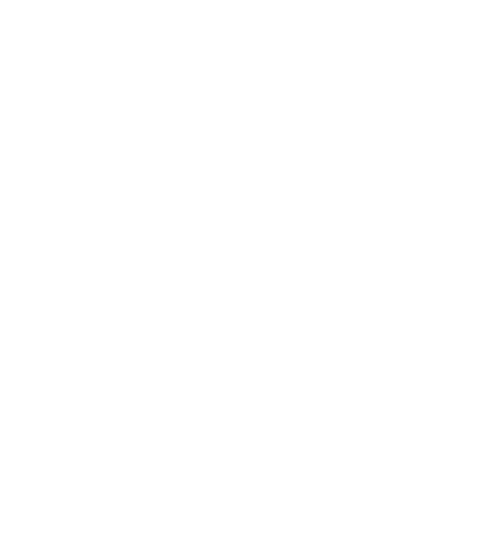 Football helmet facemask and Optim logo